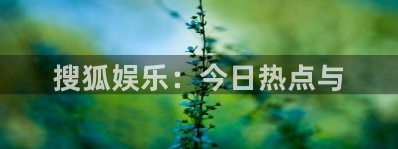 天顺娱乐：搜狐娱乐：今日热点与