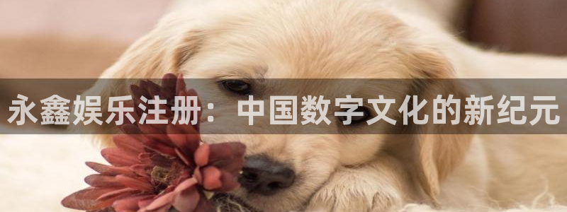 天顺娱乐：永鑫娱乐注册：中国数字文化的新纪元
