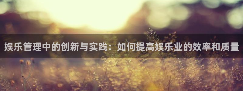 天顺娱乐：娱乐管理中的创新与实践：如何提高娱乐业的效率和质量