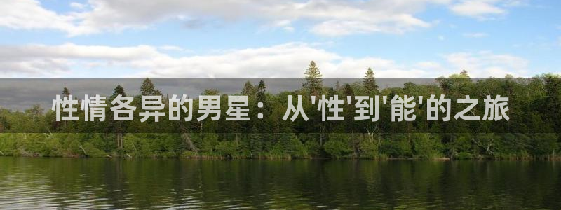 天顺娱乐：性情各异的男星：从\'性\'到\'能\'的之旅