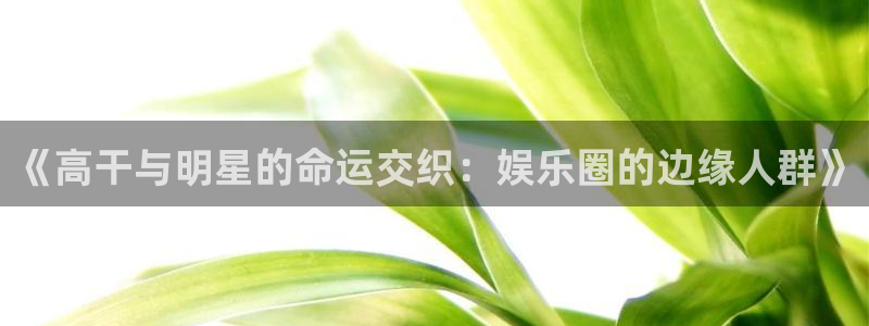 天顺娱乐：《高干与明星的命运交织：娱乐圈的边缘人群》