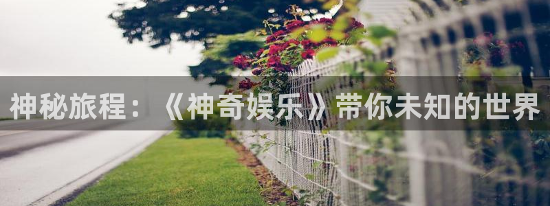 天顺娱乐：神秘旅程：《神奇娱乐》带你未知的世界