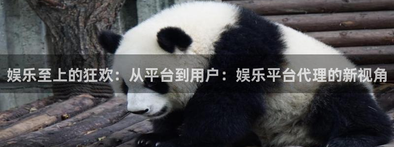 天顺娱乐：娱乐至上的狂欢：从平台到用户：娱乐平台代理的新视角
