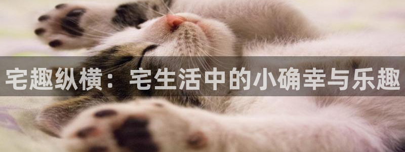 天顺娱乐：宅趣纵横：宅生活中的小确幸与乐趣