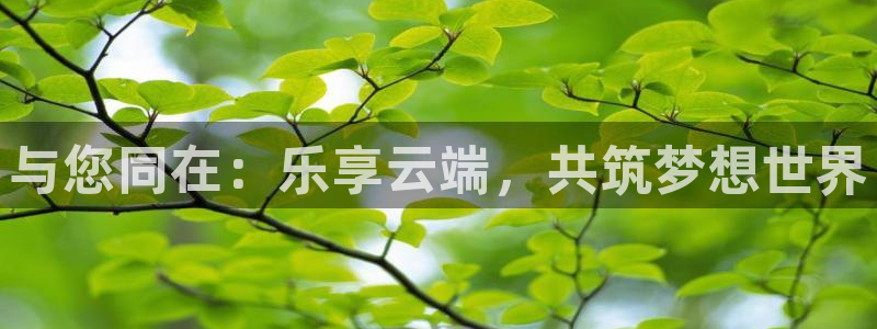 天顺娱乐：与您同在：乐享云端，共筑梦想世界