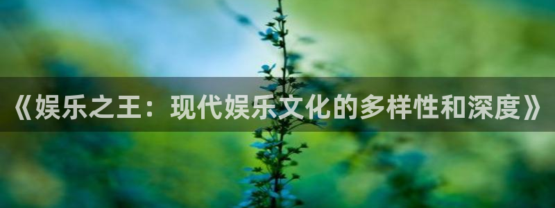 天顺娱乐：《娱乐之王：现代娱乐文化的多样性和深度》